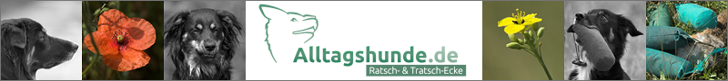 Alltagshunde.de - Ratsch- & Tratsch-Ecke